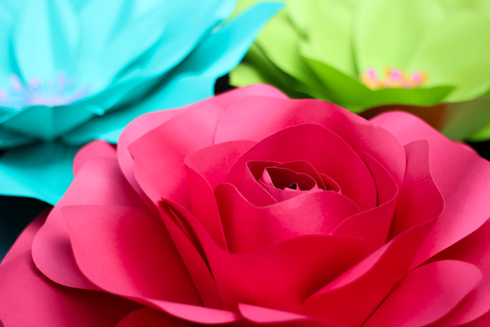 Forever Petals by Vee: More Than Just Paper