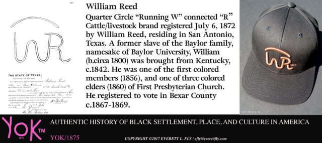 William Reed SAAACAM