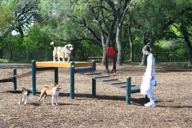 McAllister Park San Antonio Dog Parks