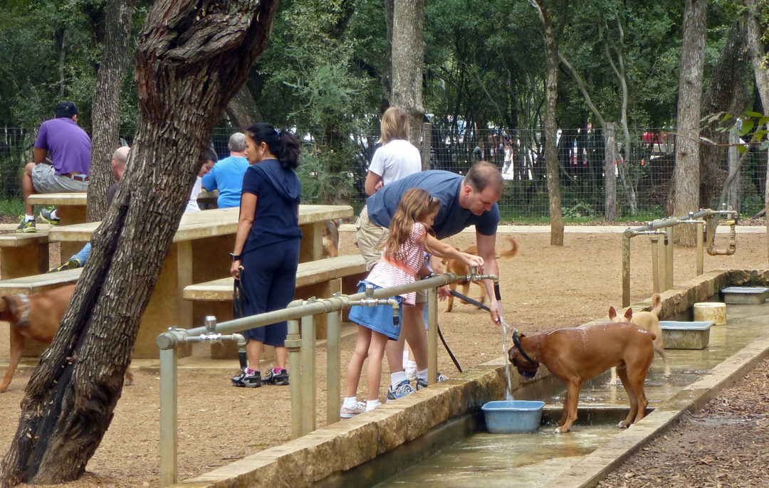Guide to Your Local San Antonio Dog Parks